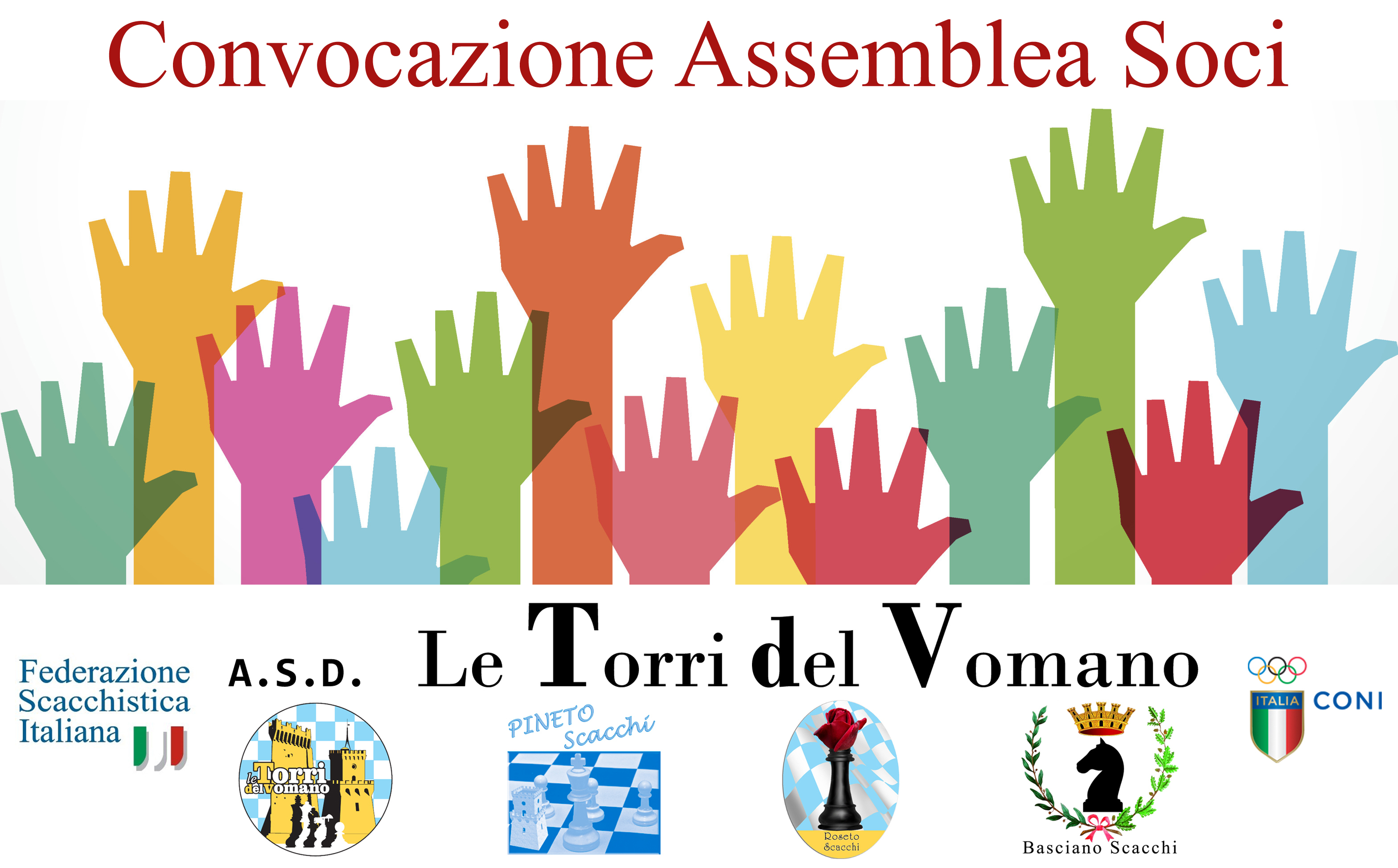 Assemblea Soci